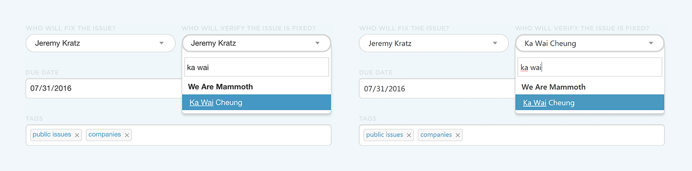 DoneDone form fields
