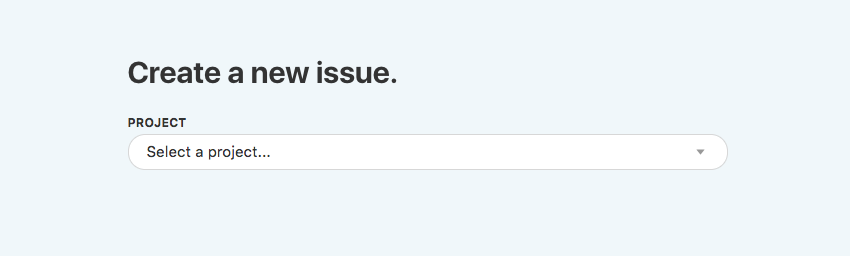 track a new bug or issue