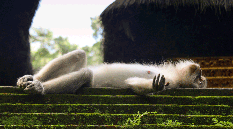 problem tracking software